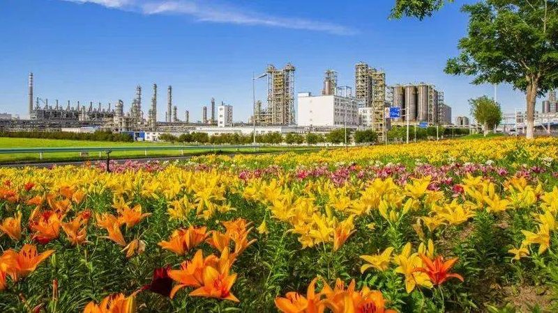 PVC塑料原料与PP塑料原料价格对比解析